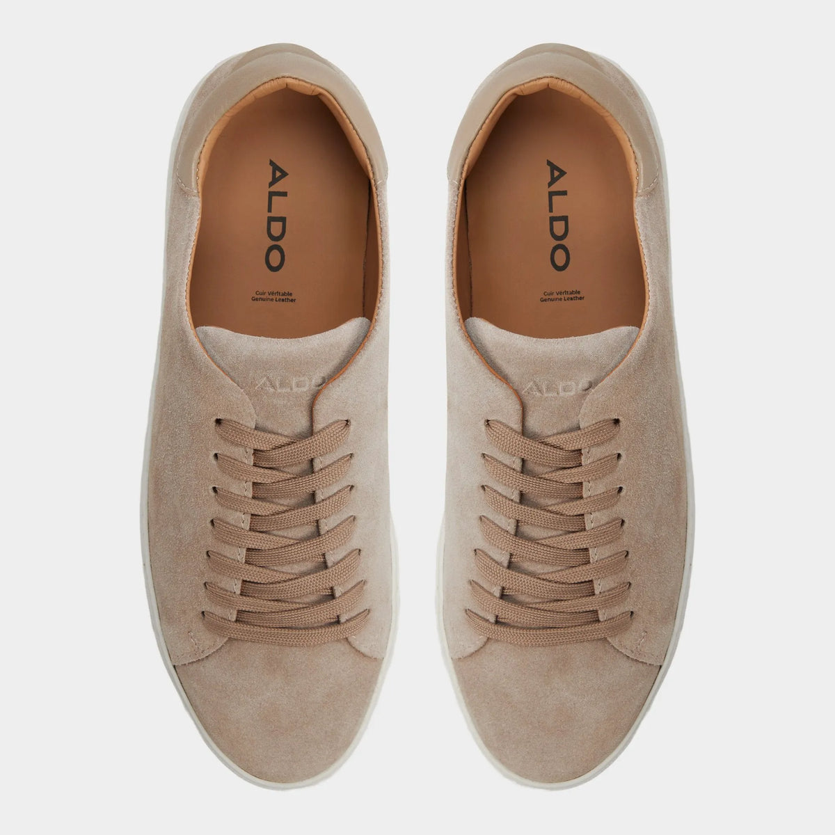 Taupe primary - multi